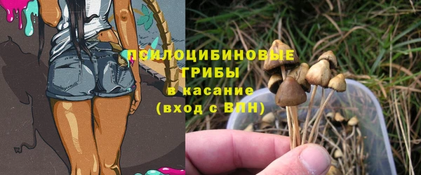 первитин Арсеньев