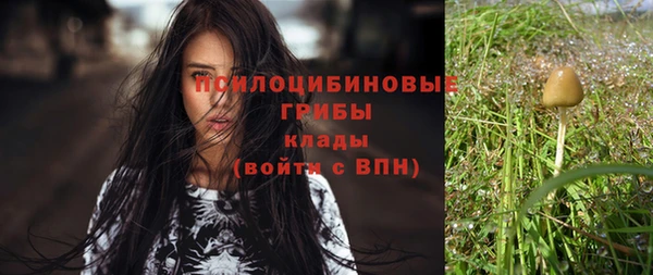 тгк Нязепетровск
