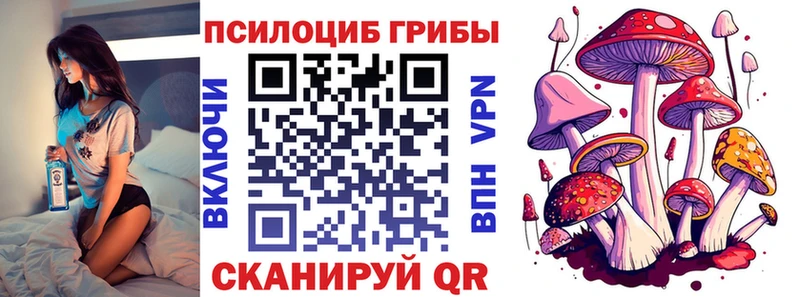 магазин    Болохово  Галлюциногенные грибы Psilocybe 