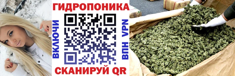 Канабис ГИДРОПОН это состав Болохово купить наркотики сайты